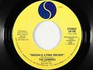 Punk 45 - Ramones - Sheena Is A Punk Rocker - Sire - mp3