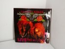 Vintage Guns N' Roses LP - G N' R Lies - Live Like a Suicide Vinyl - (J23)