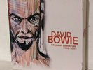 David Bowie Brilliant Adventure (1992-2001) box set 18 LP 12
