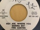 Garage Promo 45/ The Leaves 