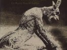 Blut Aus Nord The Mystical Beast Of Rebellion 2-LP  (Double )