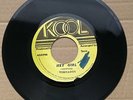 Tornados - Hey Girl
