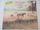 BILL CALLAHAN - SOMETIMES I WISH WE WERE AN EAGLE, DC385 DRAG CITY 2009