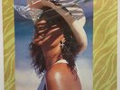 Loredana Bertè - I Grandi Successi; vinyl LP compilation [sigillato]