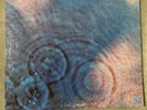 Pink Floyd Meddle Vinyl LP Record  Ungraded