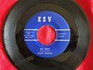 Chuck Howard, ESV 1017, Joy Gray & Don't Let It Bother You, Good rocker & teener