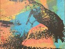 Big Blood ‎– Dark Country Magic : Feeding Tube/Cardinal Fuzz NEW VINYL LP LTD ED