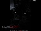 KIRLIAN CAMERA Nightglory  (Vinyl)  (US IMPORT)