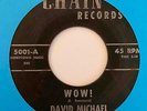 Mod Popcorn Jazz R&B 45 DAVID MICHAEL Wow /And Then Came Love Chain HEAR Rare