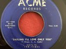 Ebb-Tides - Darling I'll Love Only You / Franny - Acme - RARE DOOWOP 45