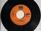 Todd Rundgren / Bang On The Drum All Day / Good Vibrations / 45rpm / Mint