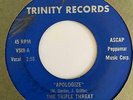 Montana Garage 45 TRIPLE THREAT Apologize/Both Sides Now Trinity HEAR Rare