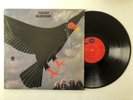 TUCKY BUZZARD - LP (1971) 