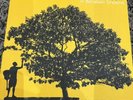 Jack Johnson In Between Dreams Vinyl Mint
