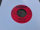 VERY RARE R & B ROCKER - RONNY GOODE - TOTEM POLE / HOKUS POKUS USA DEMON - EX