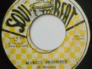 Rare 1978 Deep Roots - MARCUS PROPHECY - DELROY WEBSTER - SOUL BEAT 7