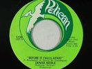 Crossover Soul/Funk 45 - Denise Keeble - Before It Falls Apart - Pelican VG+ mp3