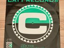 CONFIDENTIAL/PRIMEA FACEY 'JAM THE FREQUENCY'  HARDCORE/RAVE/TECHNO. 1990
