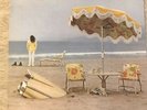 Neil Young On The Beach Vinyl Reprise R 2180 Floral Interior