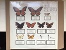 The Jam Butterfly Collector 1st press excellent cond. live double vinyl Weller