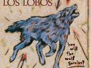 LOS LOBOS-HOW WILL THE WOLF SURVIVE LP NEW VINYL RECORD