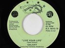 Modern Soul Disco 45 - Galaxy - Live Your Life - Rizing Star - mp3