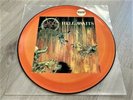 SLAYER - HELL AWAITS ORG 1.PRESS LIMITED PICTURE DISC MBR (NO NUMBER) 1985