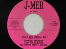 Northern/Deep Soul 45 - Johnny Jackson - What You Gonna Do - J-Mer - VG+ mp3