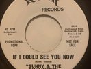 Northern Soul Promo 45/ Sunny & Sunliners 
