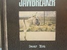 JAWBREAKER Dear You LP First Pressing DGC blue marbled