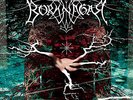 Borknagar - Empiricism - 2021 Cosmic Key Creations  - Vinyl