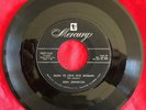 Don Johnston, Mercury 70991, Born To Love One Woman & How Many, GREAT rocker