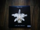 Kings of Leon - Aha Shake Heartbreak  2x10
