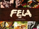 Fela Kuti - Vinyl Box Set 2 (Used LP)