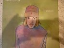 David Sylvian Blemish LP