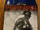 CITIZEN'S ARREST COLOSSUS THE DISCOGRAPHY 2XLP BLUE VINYL NYHC BORN AGAINST