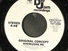 ORIGINAL CONCEPT: knowledge me / can you feel it DEF JAM 7