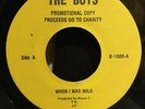 THE BOYS when i was wild RARE 45 private press FOLK PSYCH rural rock HEAR IT