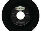 THE BEACH BOYS 