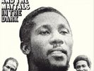 Toots and The Maytals In the Dark Vinyl NEUF