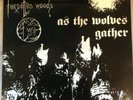 FORGOTTEN WOODS - 