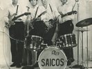 Los Saicos Demolicion Vinyl NEW