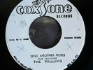 Send Another Moses - The Willows