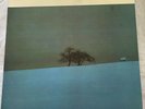 APRIL MARCH & LOS CINCOS LP Vinyl - Sympathy For The Record Industry - OOP