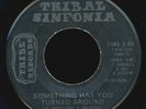 TRIBAL SINFONIA 1970 Never played Michigan Private press Rock Soul Garage 45