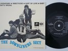 DOWNLINERS SECT Bloodhound +3  Sweden *only* EP freakbeat garage LISTEN