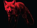 The Prodigy  -This is my day remix Vinyl Record Store Day Exclusive 2022 RSD 22