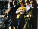 The Byrds - “The Very Best of the Byrds” - ‘Simply Vinyl’ Ltd. Edition / 180g