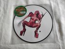 LADY GAGA CHROMATICA VINYL PICTURE DISC 
