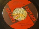 Wild Garage Acid Psych Mind-Bender 45 Thee Young Generation Paperback Minds HEAR